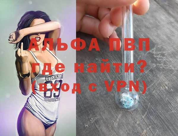 PSILOCYBIN Гусь-Хрустальный