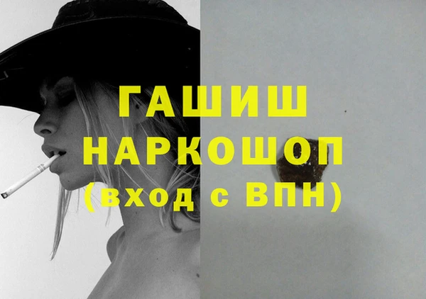 мдпв Гусев