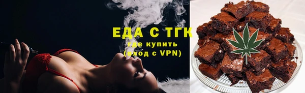 мдпв Гусев