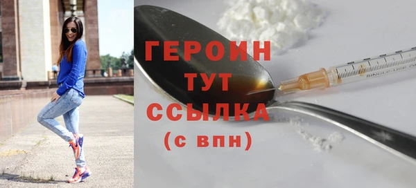 мдпв Гусев