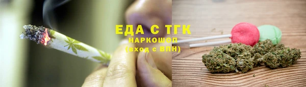 мдпв Гусев