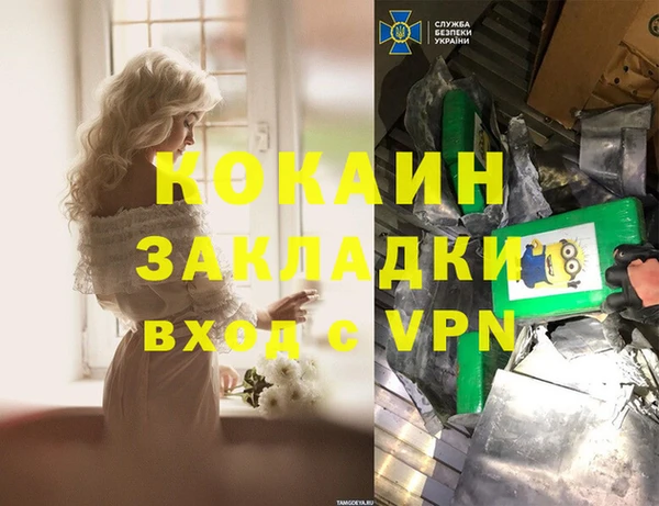 PSILOCYBIN Гусиноозёрск