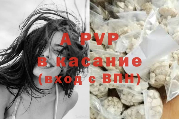 PSILOCYBIN Гусь-Хрустальный