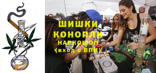 мдпв Гусев