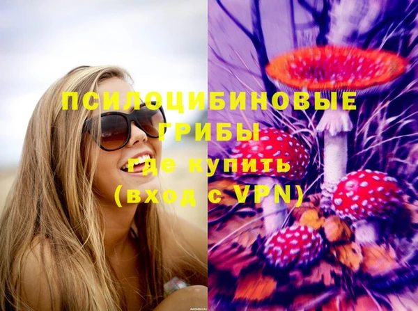 PSILOCYBIN Гусь-Хрустальный