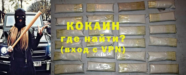мдпв Гусев