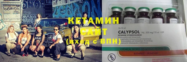 PSILOCYBIN Гусиноозёрск