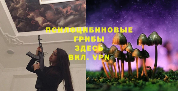 PSILOCYBIN Гусь-Хрустальный