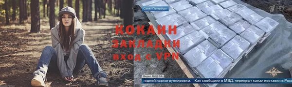 мдпв Гусев