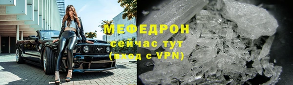 мдпв Гусев