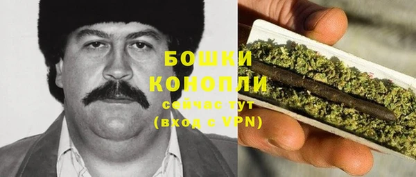 мдпв Гусев