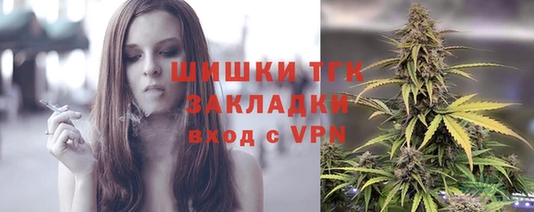 мдпв Гусев